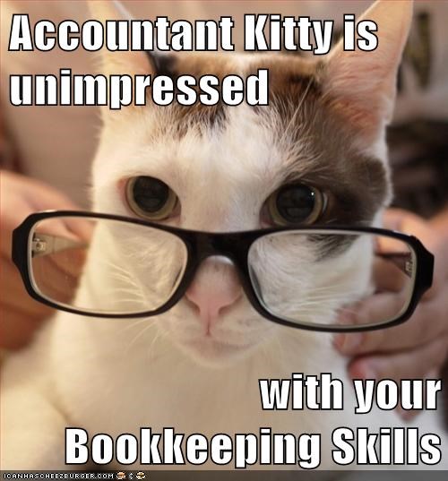 Accounting Kitty Is Unimpressed With Your Bookkeeping Skills